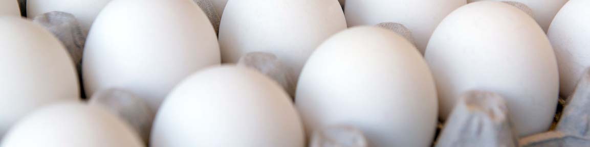 کاهش ۱۵ تا ۲۰ درصدی تولید تخم مرغ